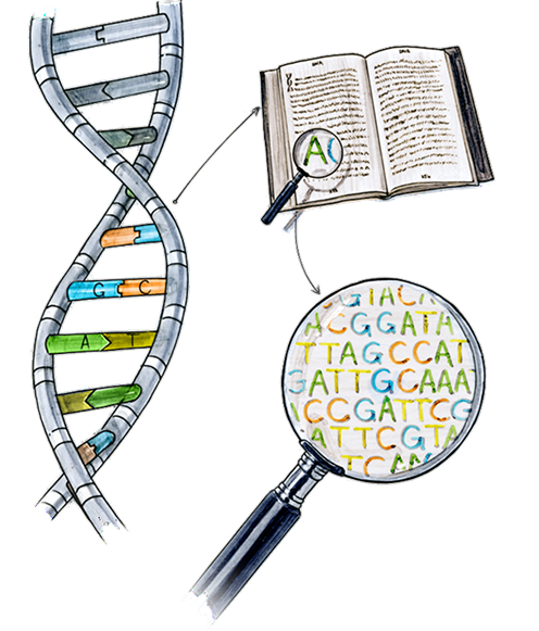 Illustration of DNA strand and alphabet letters