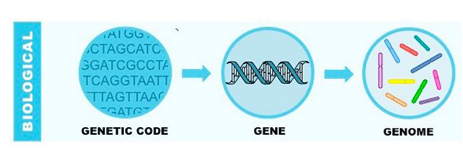 Genomics example