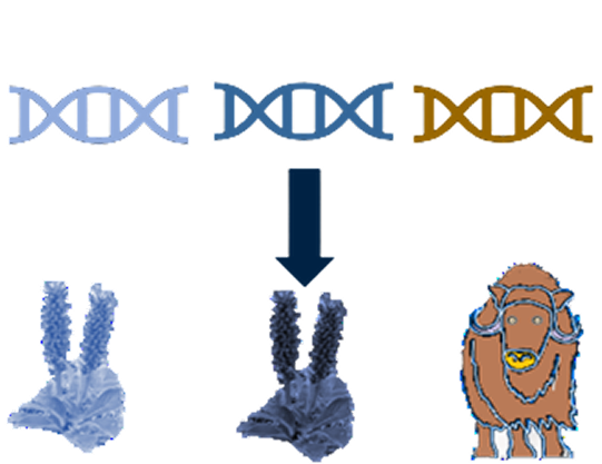 Metagenomics concept illustration